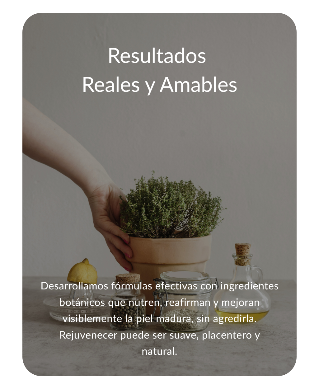 Imagen slider